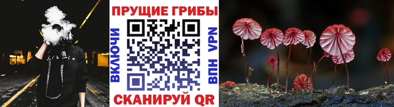 Псилоцибиновые грибы прущие грибы  Югорск 